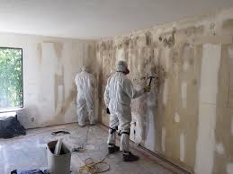 Best Post-Construction Mold Inspection  in Middleburg, FL